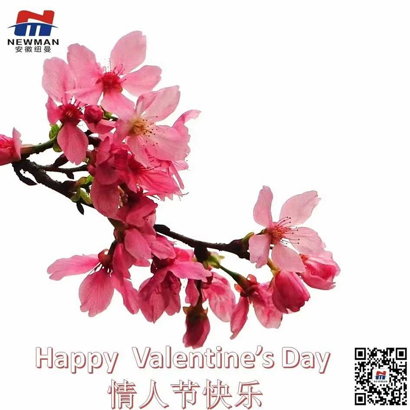 Valentine's Day