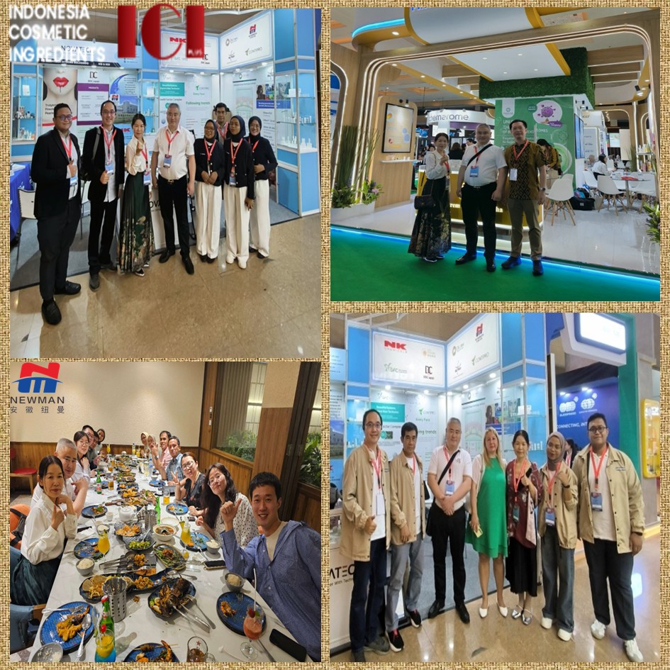  Anhui Newman shone at the ICI exhibition in Indonesia: Joining hands with local distributors to jointly expand the Southeast Asian market